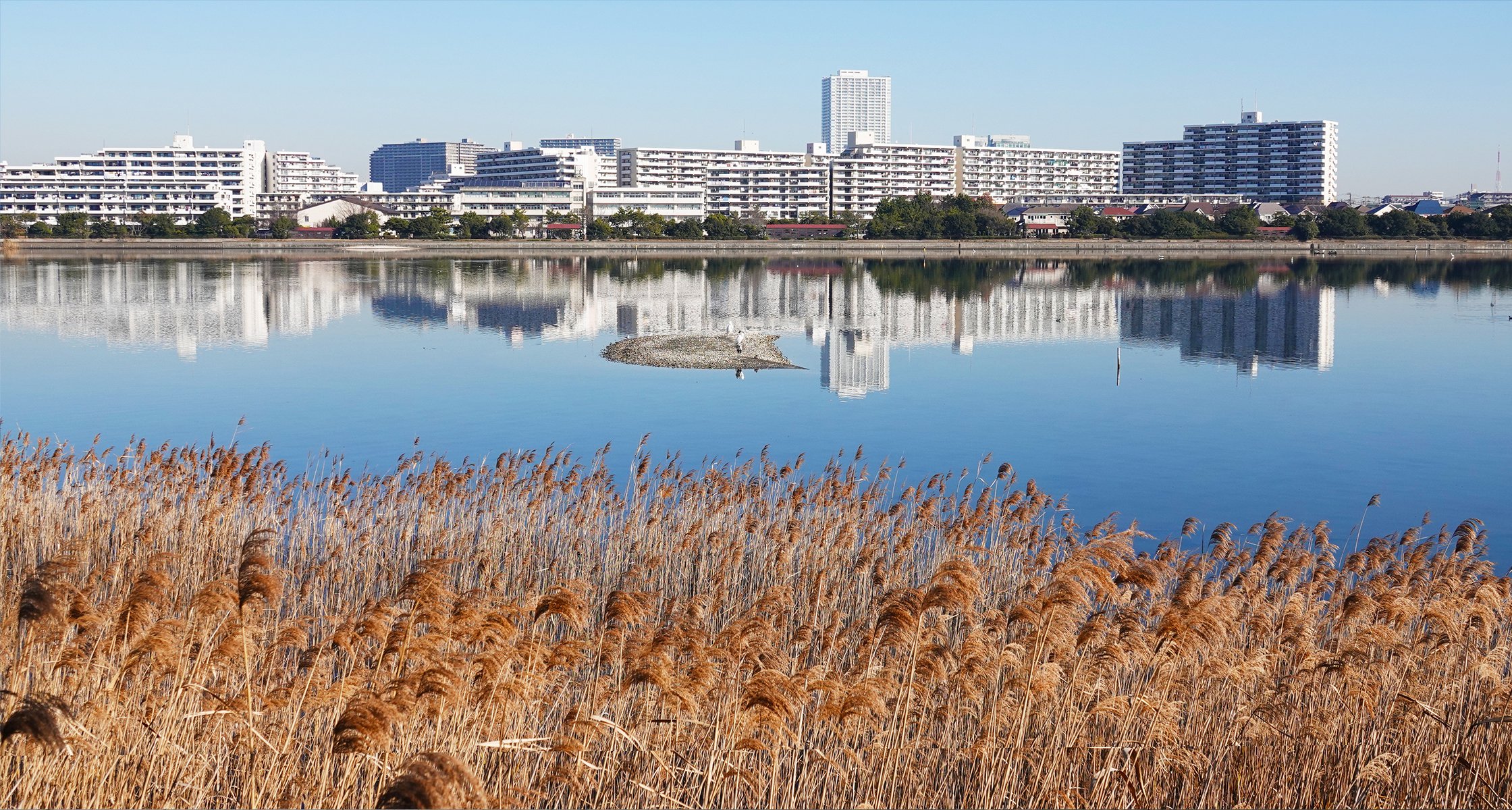 🏞️ 야쓰 갯벌 공원 (야쓰히가타 고엔) 이미지 1